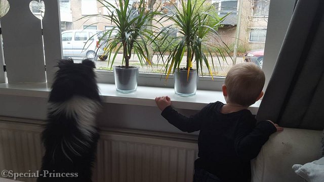 Dylano samen met een van zijn mensenvriendjes